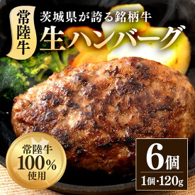【ふるさと納税】ハンバーグ 牛肉 肉 黒毛和牛 冷凍 国産 贅沢 生ハンバーグ120g×6個 常陸牛 100％ 512