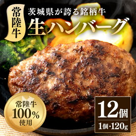 【ふるさと納税】牛肉 黒毛和牛 ハンバーグ 冷凍 国産 贅沢 生ハンバーグ120g×12個 常陸牛 100％ 516