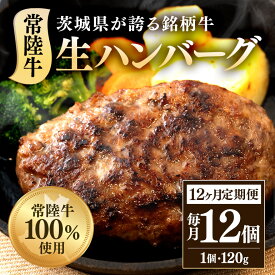 【ふるさと納税】定期便 12回 牛肉 黒毛和牛 ハンバーグ 冷凍 国産 贅沢 生ハンバーグ120g×12個 常陸牛 100％ 【12ヶ月連続お届け】 519