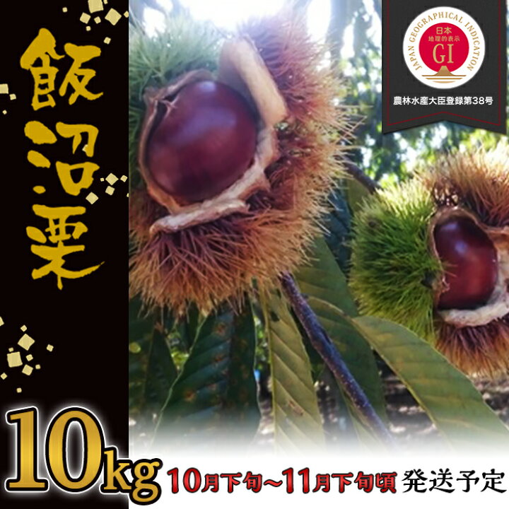 楽天市場】【ふるさと納税】高額 348 栗 飯沼栗 10kg 茨城県産 高級  