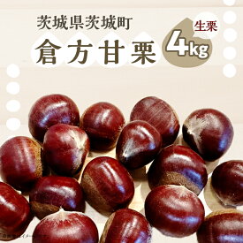 【ふるさと納税】365 倉方甘栗 4kg 栗 甘栗 希少品種 数量限定 くり 先行予約 2024年10月頃から発送予定