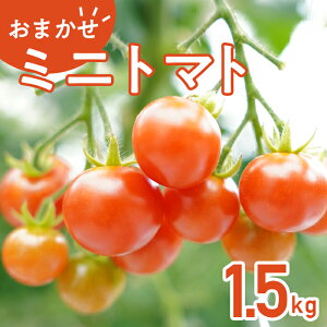 yӂ邳Ɣ[Łzg}g  ~jg}g i ܂ TY Ԓ A~[Y 454 ~jg}g 1.5kg Â JA   2025N8珇\