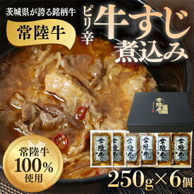 【ふるさと納税】牛すじ 牛肉 和牛 小分け 真空 便利 使いやすい 惣菜 おつまみ おかず 冷凍 牛すじ煮込み 1.5kg 250g×6個 ピリ辛 茨城県産 ブランド牛 常陸牛 使用 523