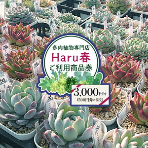 yӂ邳Ɣ[Łz钬 A X 񂹐A ̌  Mtg `Pbg [NVbv GPxA CeA Harut v[g S 592 HarutŎg3,000~`Pbgi500~×6