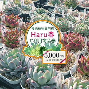 yӂ邳Ɣ[Łz钬 A X 񂹐A ̌  Mtg `Pbg [NVbv GPxA CeA Harut v[g S 593 HarutŎg5,000~`Pbgi500~×10