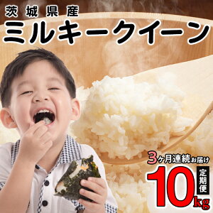 yӂ邳Ɣ[Łzߘa7N   v30kg ߘa7NY 錧Y ~L[NC[  10kg (5kg×2)y3A͂z(菤 441)