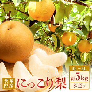 yӂ邳Ɣ[Łz Ȃ ɂ ʌ Ԍ Â t[c 10 354 ɂ藜 5kg 8`12 4L`6L  Ȃ s\ y2025N 10{菇\z