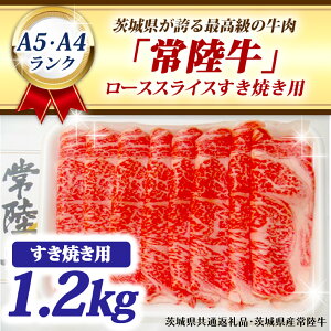 yӂ邳Ɣ[Łz헤 [XXCX Ăp 1.2kg A5 A4N uh јa    Ă  1200g A5 A4 ( 錧ʕԗiE錧Y )