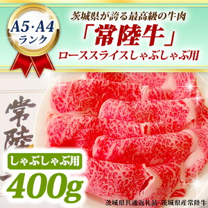 yӂ邳Ɣ[Łz헤 [XXCX Ԃԗp 400g A5 A4N јa uh  Ԃ   A5 A4 ( 錧ʕԗiE錧Y )