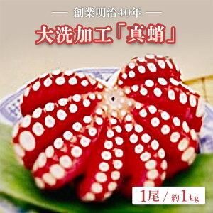 yӂ邳Ɣ[ŁznƖ40N H ^ 1 1kg 錧    ^R