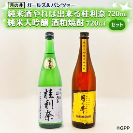 【ふるさと納税】純米酒 やれば出来る桂利奈 720ml 純米大吟醸 酒粕 焼酎 720ml 2本 セット ガルパン コラボ 酒粕焼酎 月の井 大洗 地酒 日本酒 ガールズ＆パンツァー 茨城