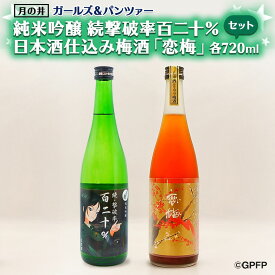 【ふるさと納税】純米吟醸 続撃破率百二十％ 720ml 日本酒 仕込 梅酒 恋梅 720ml 2本 セット ガルパン コラボ 国産梅 月の井 大洗 地酒 茨城 ガールズ＆パンツァー