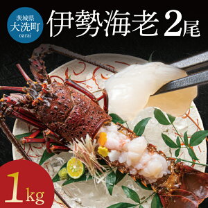 yӂ邳Ɣ[ŁzⓀ ɐCV 2 1kg Ⓚ Y ɐGr CZGr  CV Gr   hg Ă X`