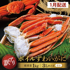 yӂ邳Ɣ[ŁzyʌzyIׂz󂠂 {C 킢 d 1kg (e 900g)KiO s   A 킯 r܂ 2L`3L TCY 펵X ɖ 킢I 