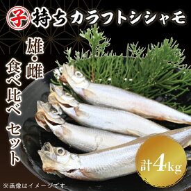 【ふるさと納税】ししゃも雄雌食べ比べ 4kg セット 訳アリ シシャモ ししゃも カラフトししゃも 大洗 規格外 訳あり わけあり 傷 すぐ発送