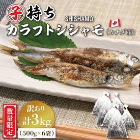 【ふるさと納税】【数量限定！】 子持ち カラフトシシャモ 3kg (500g×6袋) 訳アリ シシャモ ししゃも カラフトししゃも 大洗 規格外 訳あり わけあり 傷 すぐ発送