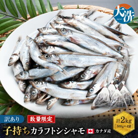 【ふるさと納税】 【数量限定！】 子持ち カラフトシシャモ 2kg (500g×4袋) 訳アリ シシャモ ししゃも カラフトししゃも 大洗 規格外 訳あり わけあり 傷 すぐ発送