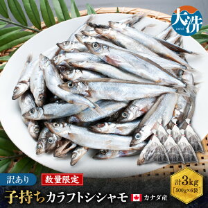 yӂ邳Ɣ[ŁzyʌIz q JtgVV 3kg (500g×6) A VV  Jtg  KiO 󂠂 킯 