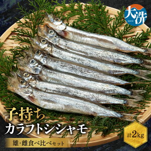 yӂ邳Ɣ[Łz YHה 2kg Zbg A VV  Jtg  KiO 󂠂 킯  