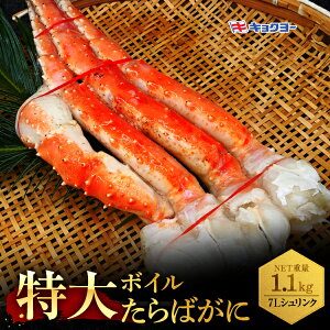 yӂ邳Ɣ[Łz^o r {C NETd 1.1kg 7L VN ʌ LN[ ΂ ^oKj ΊI Jj I    CN ɗmJj ĂKj