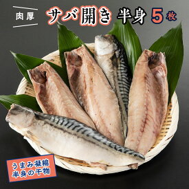 楽天市場 ふるさと納税 干物 高級の通販