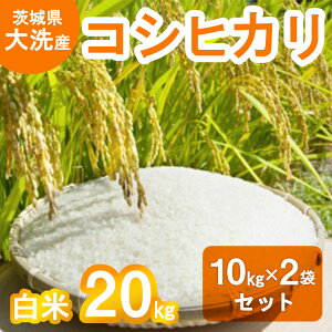 yӂ邳Ɣ[Łzߘa7NY V Y RVqJ  20kg (10kg×2܁j     