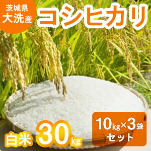 【ふるさと納税】令和7年産 新米 大洗産 コシヒカリ 白米 30kg (10kg×3袋) お米 茨城 精米 こめ 米
