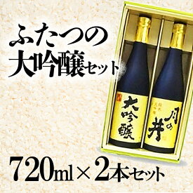 【ふるさと納税】 月の井 純米大吟醸 & 大吟醸 2種 (720ml×2) 飲み比べ セット 限定 ラベル 日本酒 純米大吟醸酒 大吟醸酒 1440ml お酒 呑み比べ つきのい