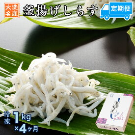 【ふるさと納税】定期便 釜揚げしらす (1kg×4か月) 天然 釜揚げ ふっくら しらす シラス 魚 さかな 魚介 離乳食 しらす干し 白洲 ごはん 丼 惣菜 おかず 弁当 国産 大洗町産 冷凍 名産 特産 魚介 海鮮