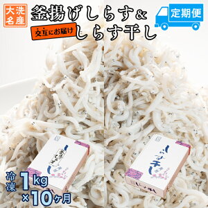 yӂ邳Ɣ[Łzg炷 炷   (1kg×10) VR ӂ  Y 炷 VX    H 炷 F ͂  y  ٓ Y 