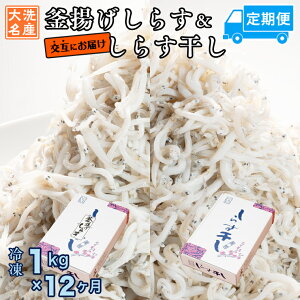 yӂ邳Ɣ[Łzg炷 炷   (1kg×12) VR ӂ  Y 炷 VX    H 炷 F ͂  y  ٓ Y 