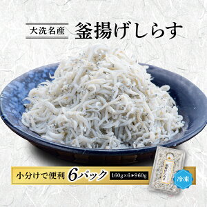 yӂ邳Ɣ[Łzg炷 6pbN ( 160g × 6pbN )  1kg  VR  炷 VX   H 炷 F ͂  y  ٓ Y Y Ⓚ Y Y 