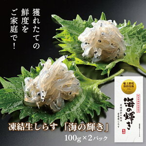 yӂ邳Ɣ[Łz炷uC̋Pv 100g 2pbN  VX Ⓚ 炷 炷