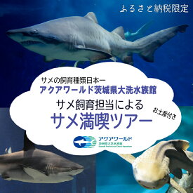 【ふるさと納税】【仮予約必須】アクアワールド茨城県大洗水族館 特別 サメ満喫ツアー サメ水槽 バックヤードツアー サメ給餌体験 サメについての講義 サメ卵殻 瓶詰め 標本(1本) シロワニ ぬいぐるみ(1体) 『サメ飼育員のさめばなし』(1冊) シロワニの歯(1本) プレゼント