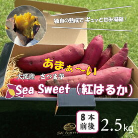 【ふるさと納税】大洗産 さつまいも 紅はるか 2.5kg （8本前後） 「Sea Sweet」 長期熟成 茨城県産 サツマイモ 土付き 生芋 芋 さつま芋 薩摩芋 甘藷 べにはるか