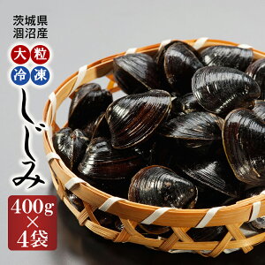 yӂ邳Ɣ[ŁzY 嗱 Ⓚ VW~ 1.6kg i400g×4܁j   a }gVW~   Ⓚ X` X[v L L Ij` RnN_ 
