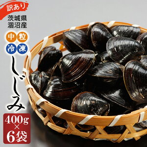 yӂ邳Ɣ[Łz󂠂 Y  Ⓚ VW~ 2.4kg i400g×6܁j   a }gVW~   Ⓚ X` X[v L L Ij` RnN_  킯 