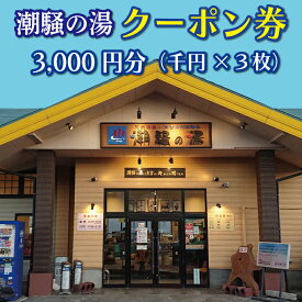 【ふるさと納税】天然温泉 潮騒の湯 クーポン券 3000円分（1000円×3枚） 露店風呂 サウナ おんせん 大洗サンビーチ 海鮮 魚介 食事 宿泊 チケット 利用券 アウトドア 旅行