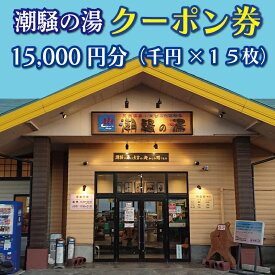 【ふるさと納税】天然温泉 潮騒の湯 クーポン券 15000円分（1000円×15枚） 露店風呂 サウナ おんせん 大洗サンビーチ 海鮮 魚介 食事 宿泊 チケット 利用券 アウトドア 旅行