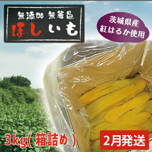 yӂ邳Ɣ[Łz s\  Iׂz Y F ①  g͂邩  ق Y  錧Y g͂邩 