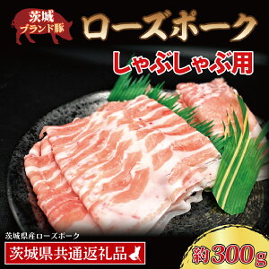yӂ邳Ɣ[Łz[Y|[N[Y|[N Ԃԗp 300g ([X150g ΂150g) (2lO) ( 錧ʕԗiE錧Y ) uh  Y ؓ Ⓚ Ԃ