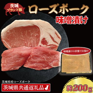 yӂ邳Ɣ[Łz[Y|[N XЂ 200g ([X100g,q100g) ( 錧ʕԗiE錧Y ) uh  Y ؓ Ⓚ
