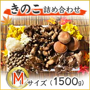 yӂ邳Ɣ[Łẑ̋lߍ킹@MTCY(1.500g)yzsnFz (AU001)