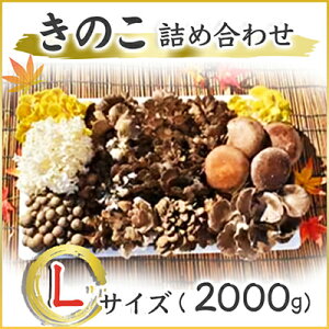 yӂ邳Ɣ[Łẑ̋lߍ킹@LTCY(2.000g)yzsnFz (AU002)