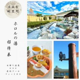 【ふるさと納税】ホロルの湯　招待券 10枚【配送不可地域：離島】 (BG001)