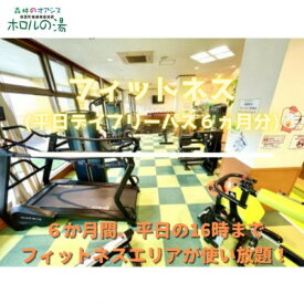 【ふるさと納税】ホロルの湯　フィットネス(平日デイ 6ヵ月)【配送不可地域：離島】 (BG006)