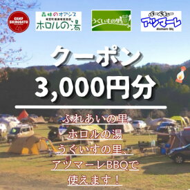 【ふるさと納税】【城里町ホロルの湯、ふれあいの里、うぐいすの里、アツマーレBBQで使えるクーポン券】3,000円分【配送不可地域：離島】 (BF019)