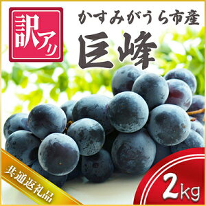 yӂ邳Ɣ[Łzy2025N10菇\z󂠂苐@2kg (ʕԗi:݂sY)yzsnFEꌧz (BR072)