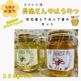 【ふるさと納税】長島さんのはちみつ 百花蜜とアカシア蜜　各250g【配送不可地域：離島】 (BG015)