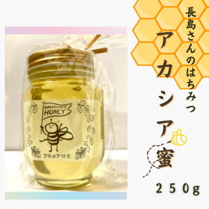 【ふるさと納税】長島さんのはちみつ アカシア蜜 250g【配送不可地域:離島】 (BG017)
